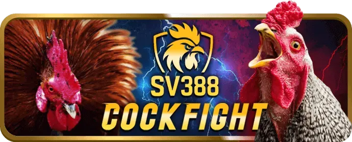 Lợi ích đặc quyền của thành viên VIP xbet